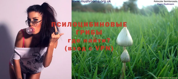 индика Волосово