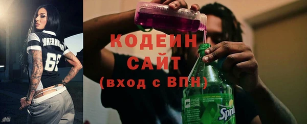 индика Волосово