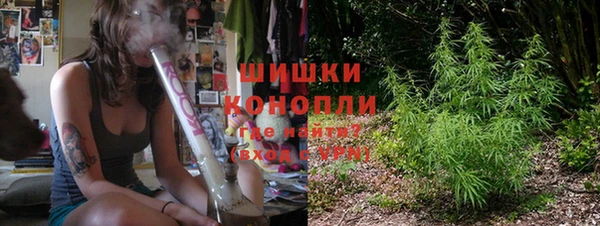индика Волосово