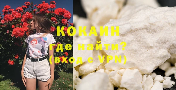 индика Волосово