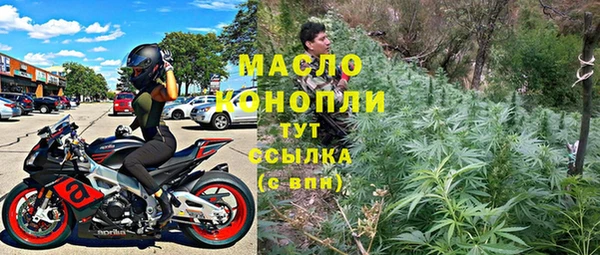 индика Волосово