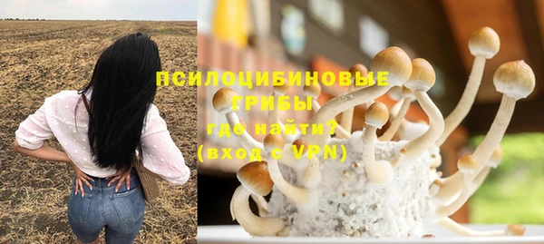 гашик Вяземский