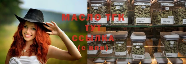 индика Волосово